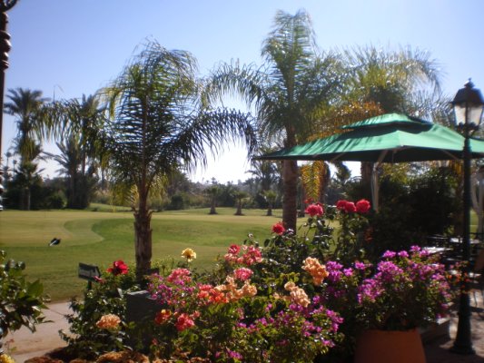 Le Royal Golf de Marrakech, fut le golf préféré du Roi Hassan II, c'est le deuxième plus ancien parcours du Maroc. Sa végétation luxuriante exceptionnelle en fait une oasis de verdure des plus agréable lors des fortes chaleurs. L'ambiance y est extraordinaire.